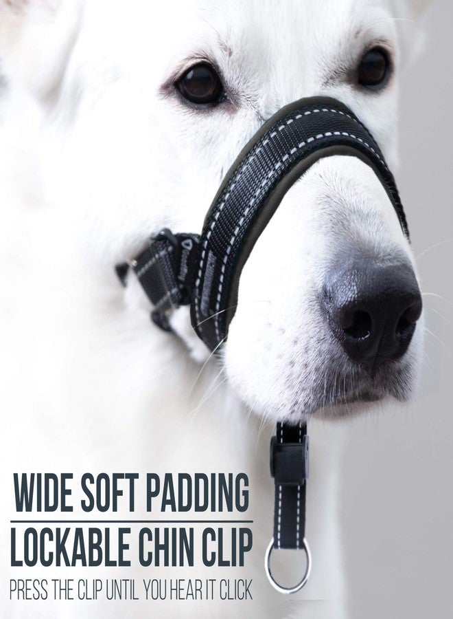 GoodBoy Dog Head Halter with Safety Strap - Stops Heavy Pulling On The Leash - Padded Headcollar for Small Medium and Large Dog Sizes - Head Collar Training Guide Included (Size 3, Black) - Image 3